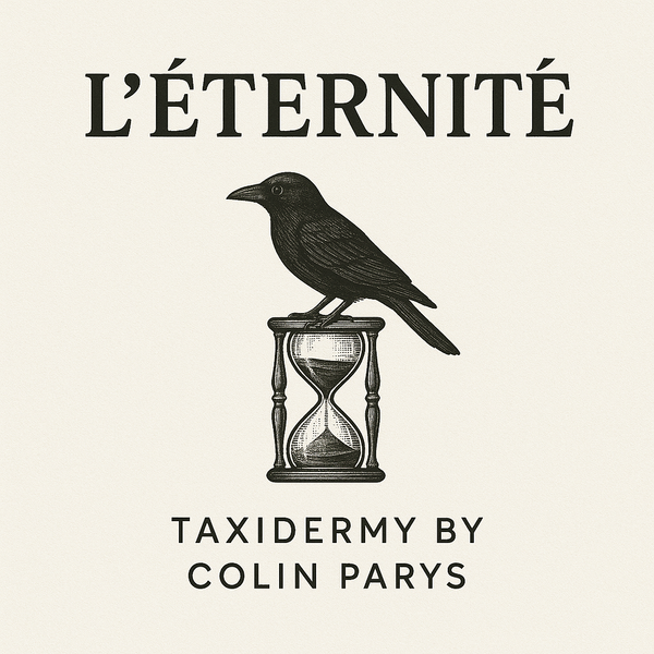 L’Eternité - Taxidermie by Colin Parys